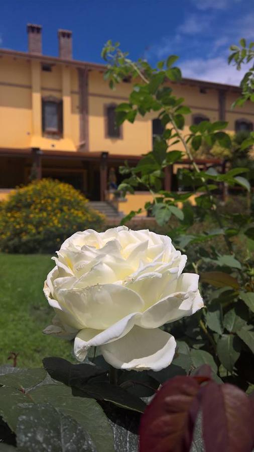 Boma Countryhouse Casale Bufalotta Экстерьер фото